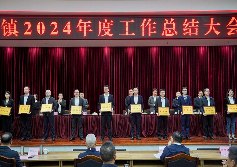 双项殊荣！PA视讯,PlayAce电声荣登石排镇2024年度“双十强”榜单